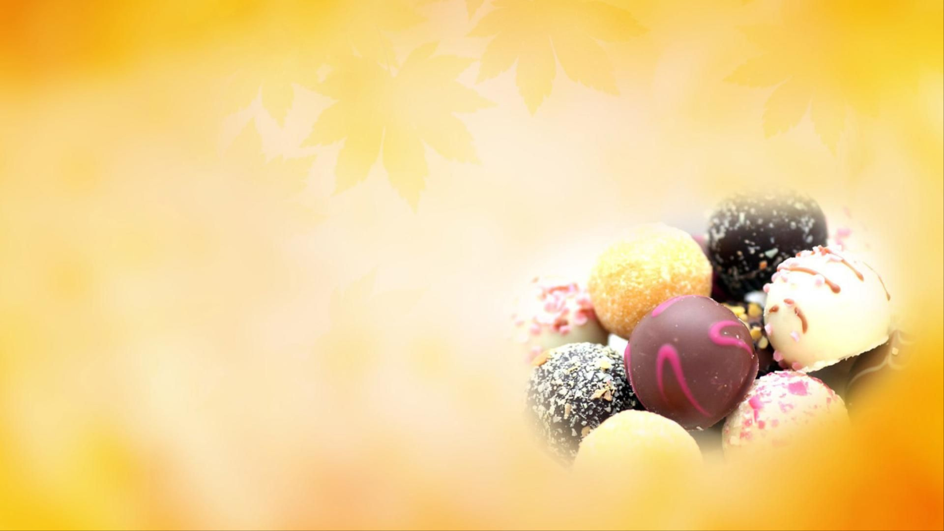Main Banner Image 1